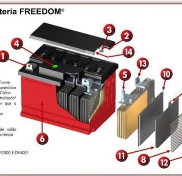 WhatsApp Image 2021-07-22 at 11.31.04 (1)